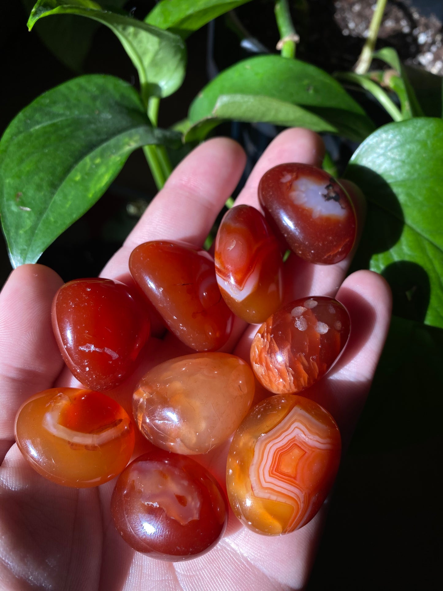 carnelian tumble