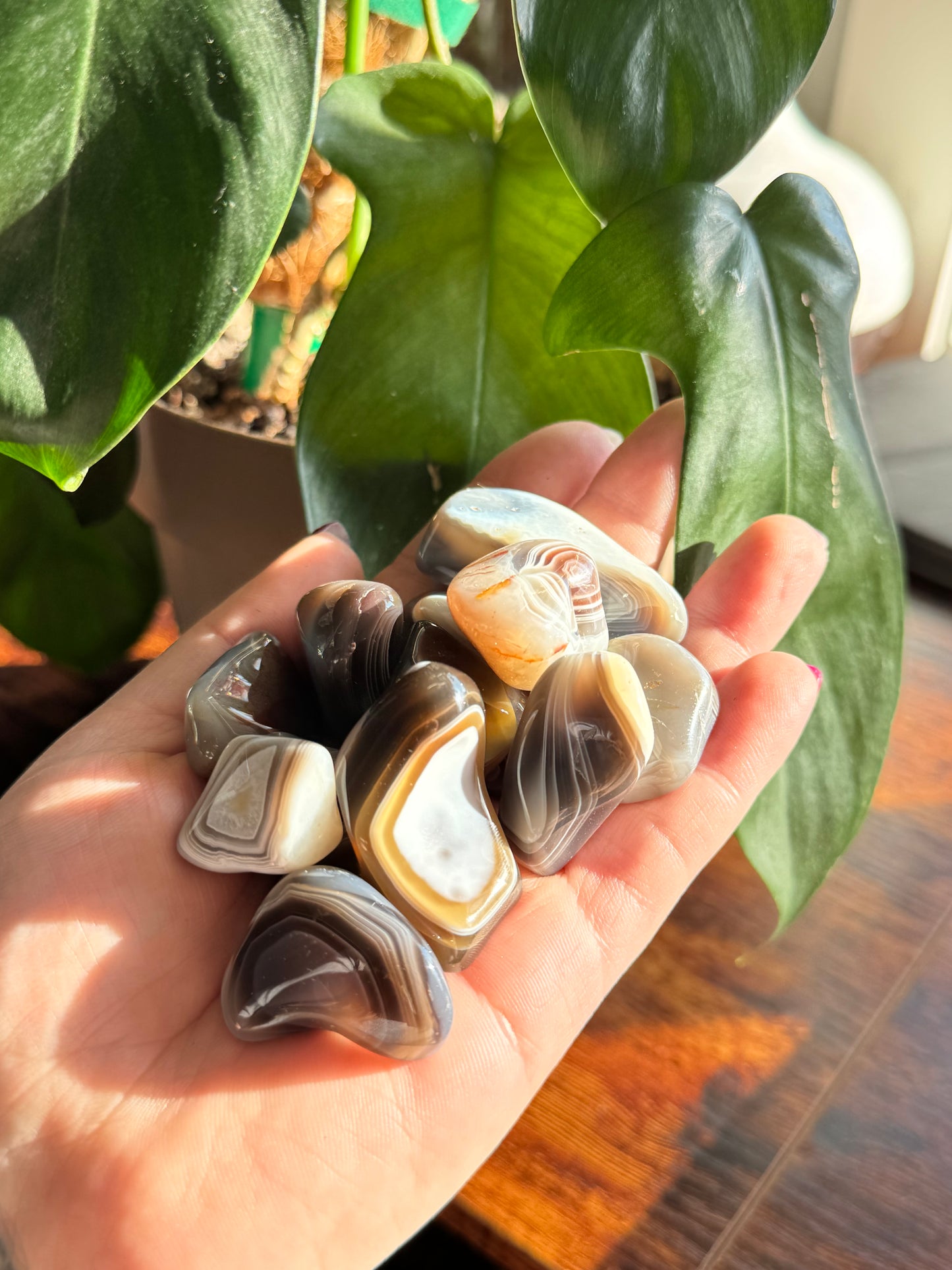 Botswana Agate Tumble