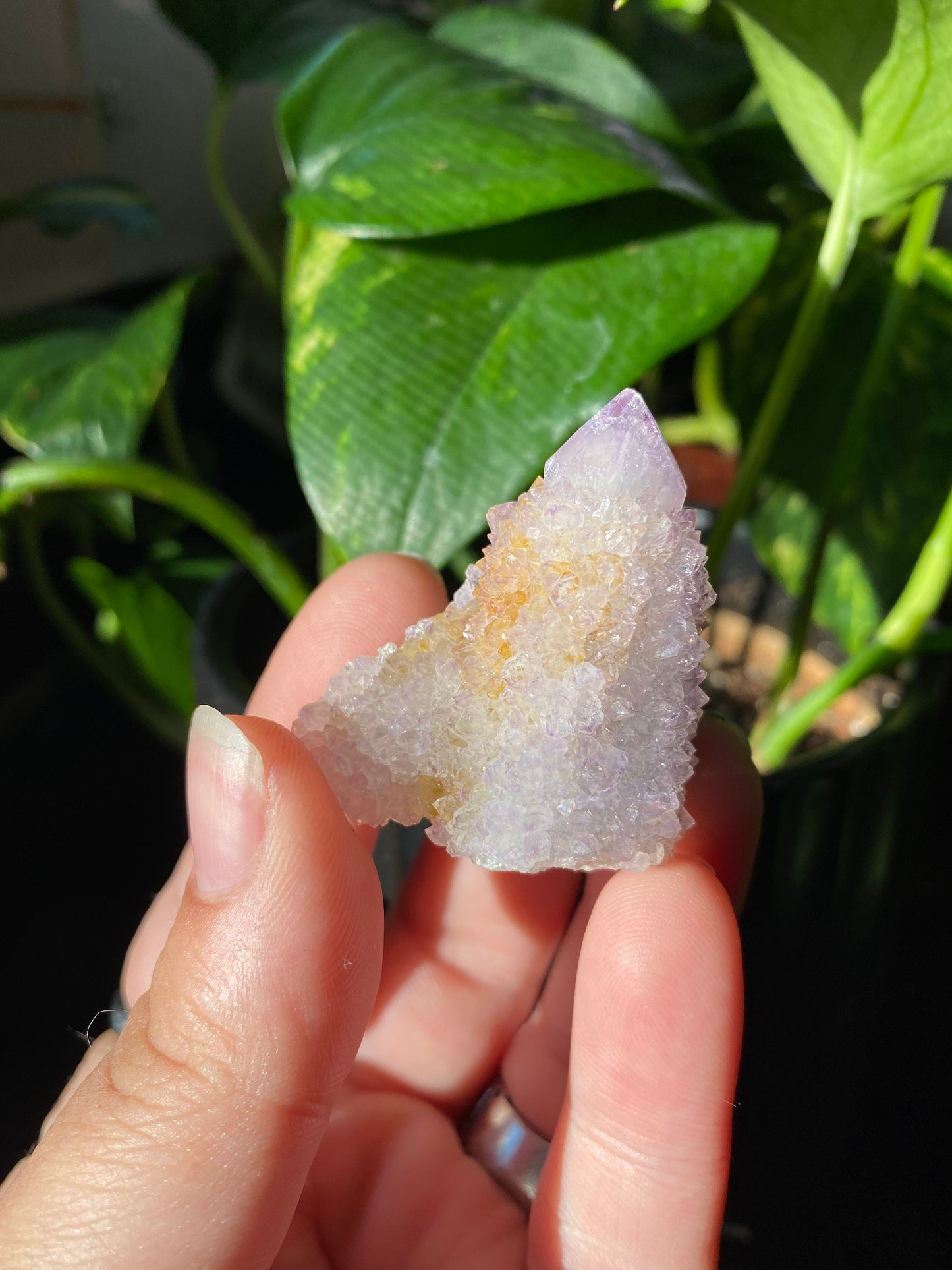 Small Spirit Quartz Cluster