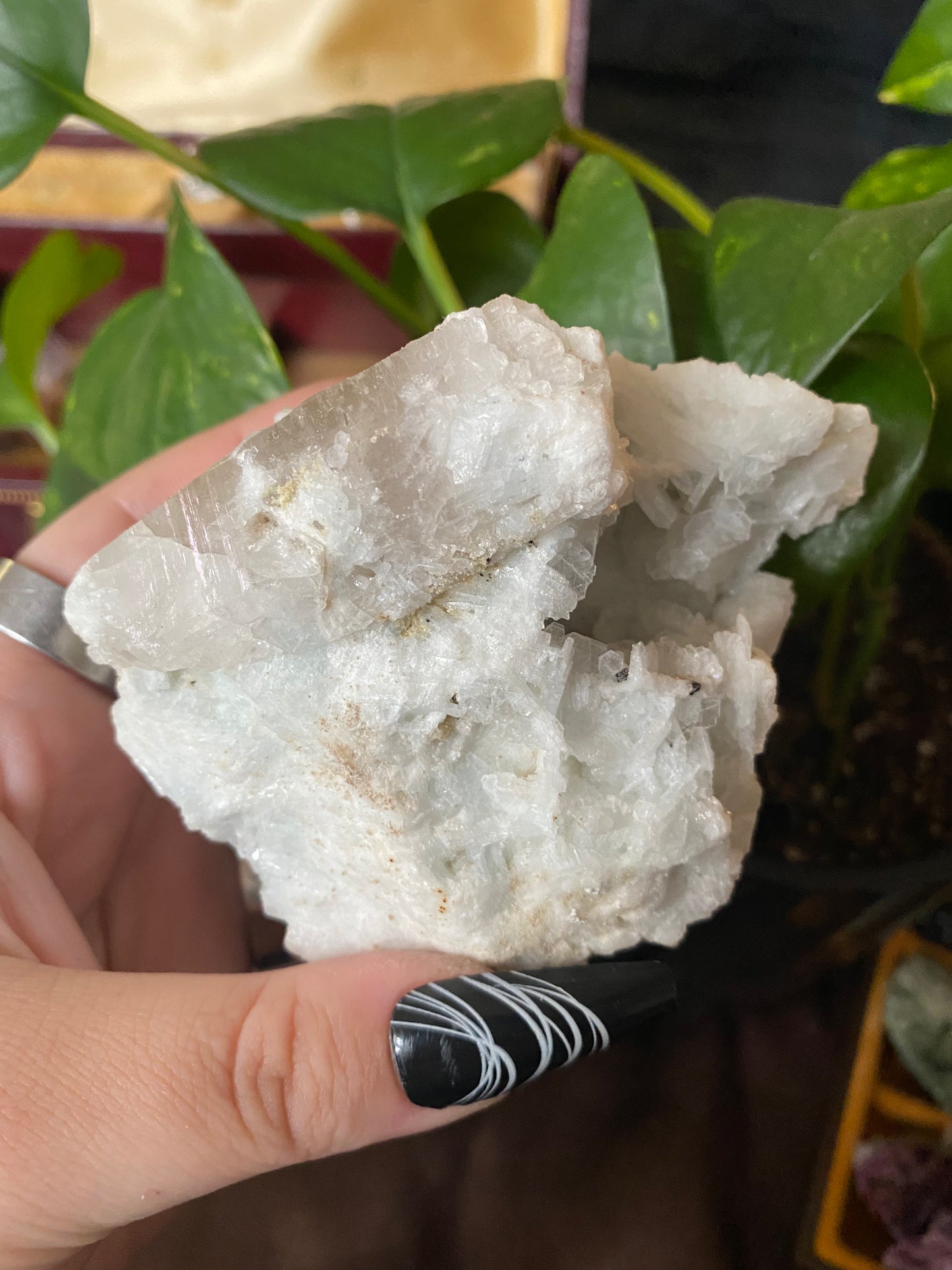 albite w/ mica raw specimen