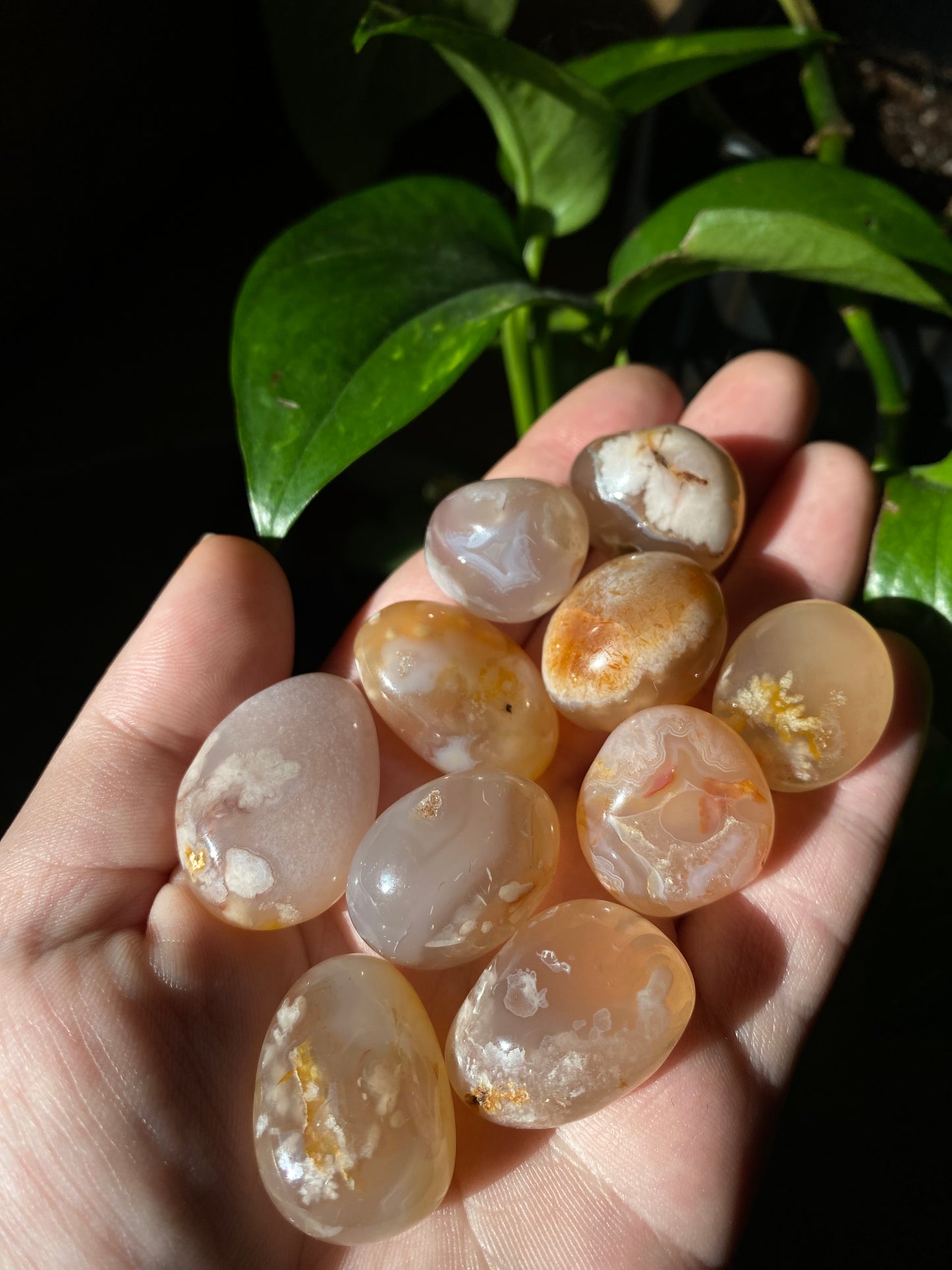 flower agate tumble