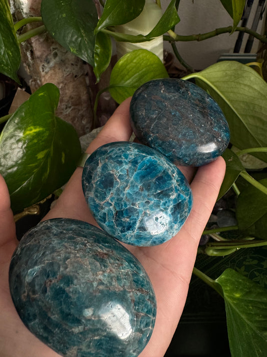 blue apatite palmstone (choose your own)