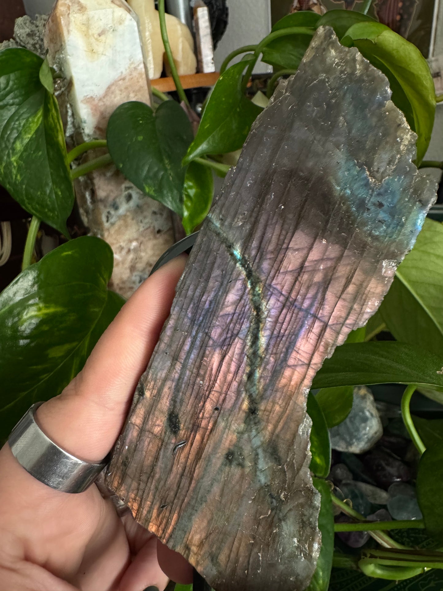 sunset labradorite half polished slab