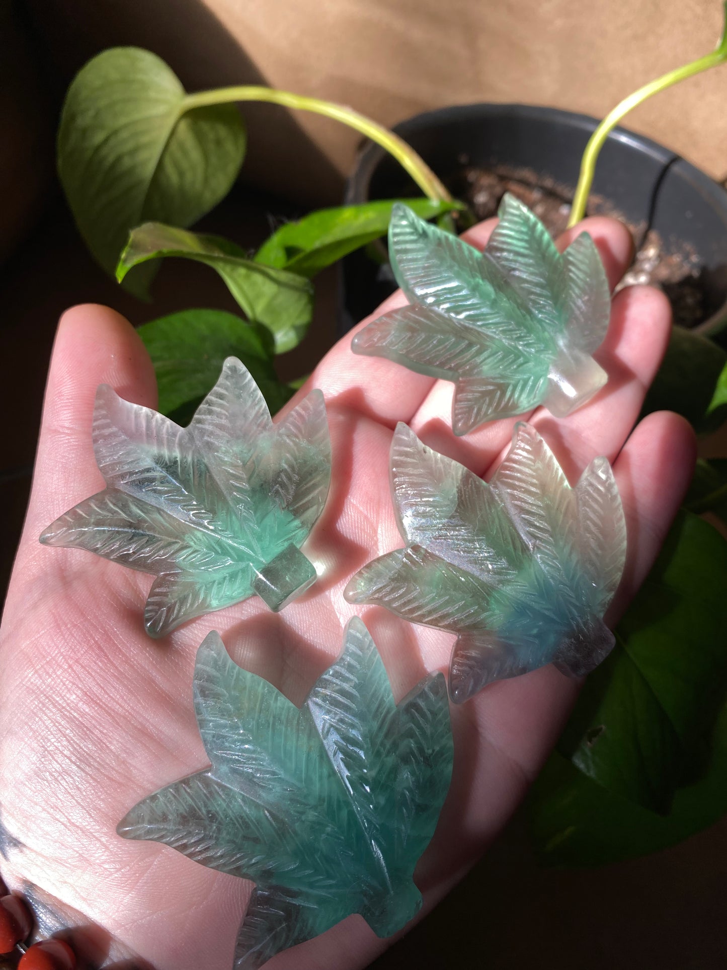 fluorite leaves