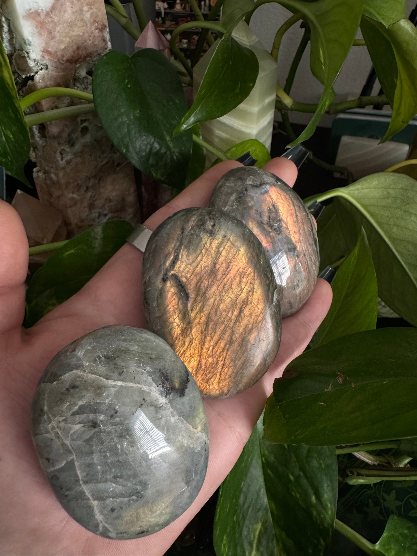 sunset labradorite palmstones (choose a size, randomly picked)