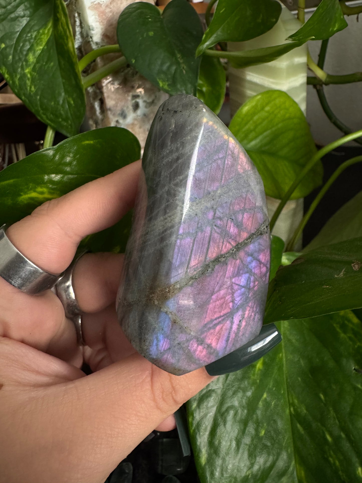 sunset labradorite freeform (choose your own)