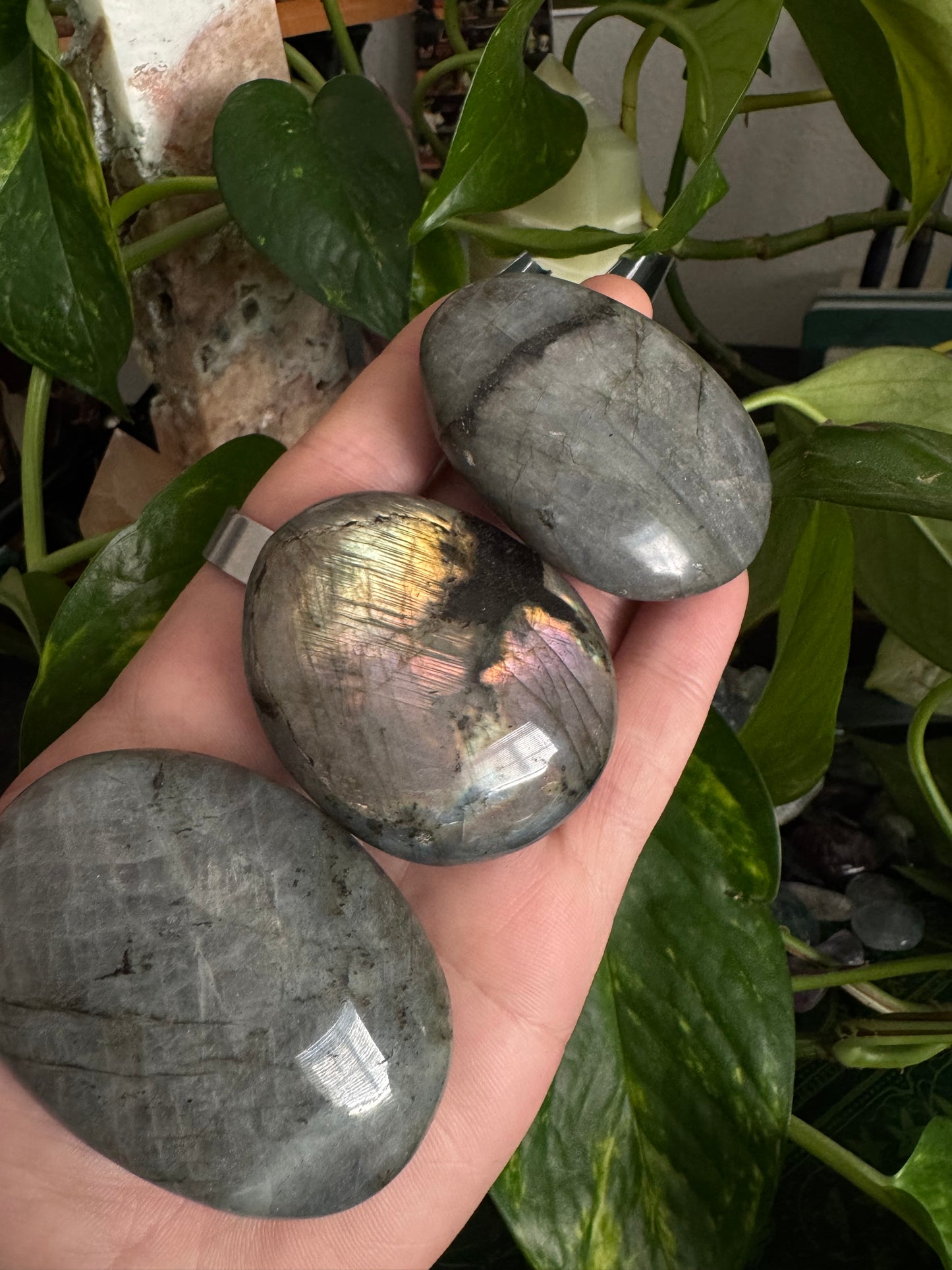 sunset labradorite palmstones (choose a size, randomly picked)