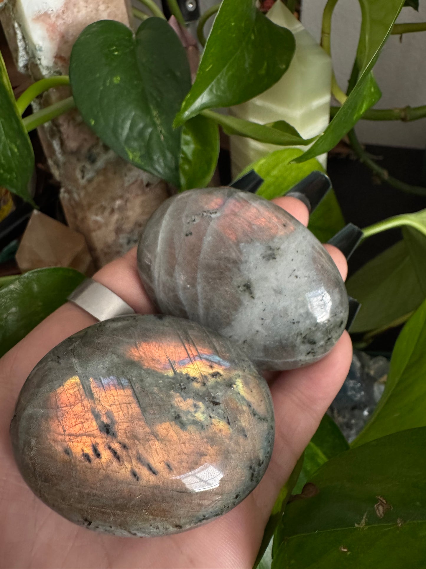 sunset labradorite palmstones (choose a size, randomly picked)