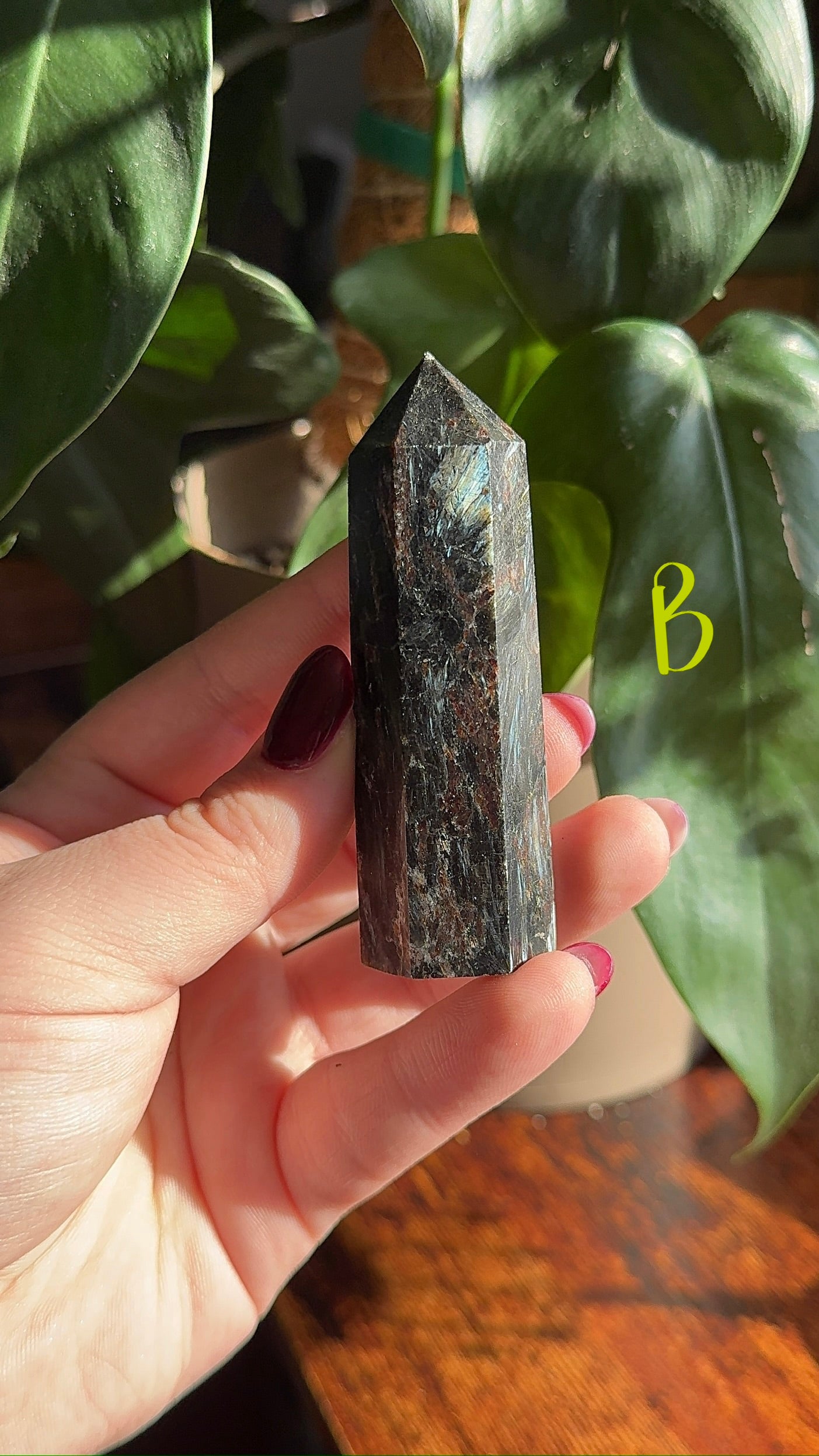 Astrophyllite Towers