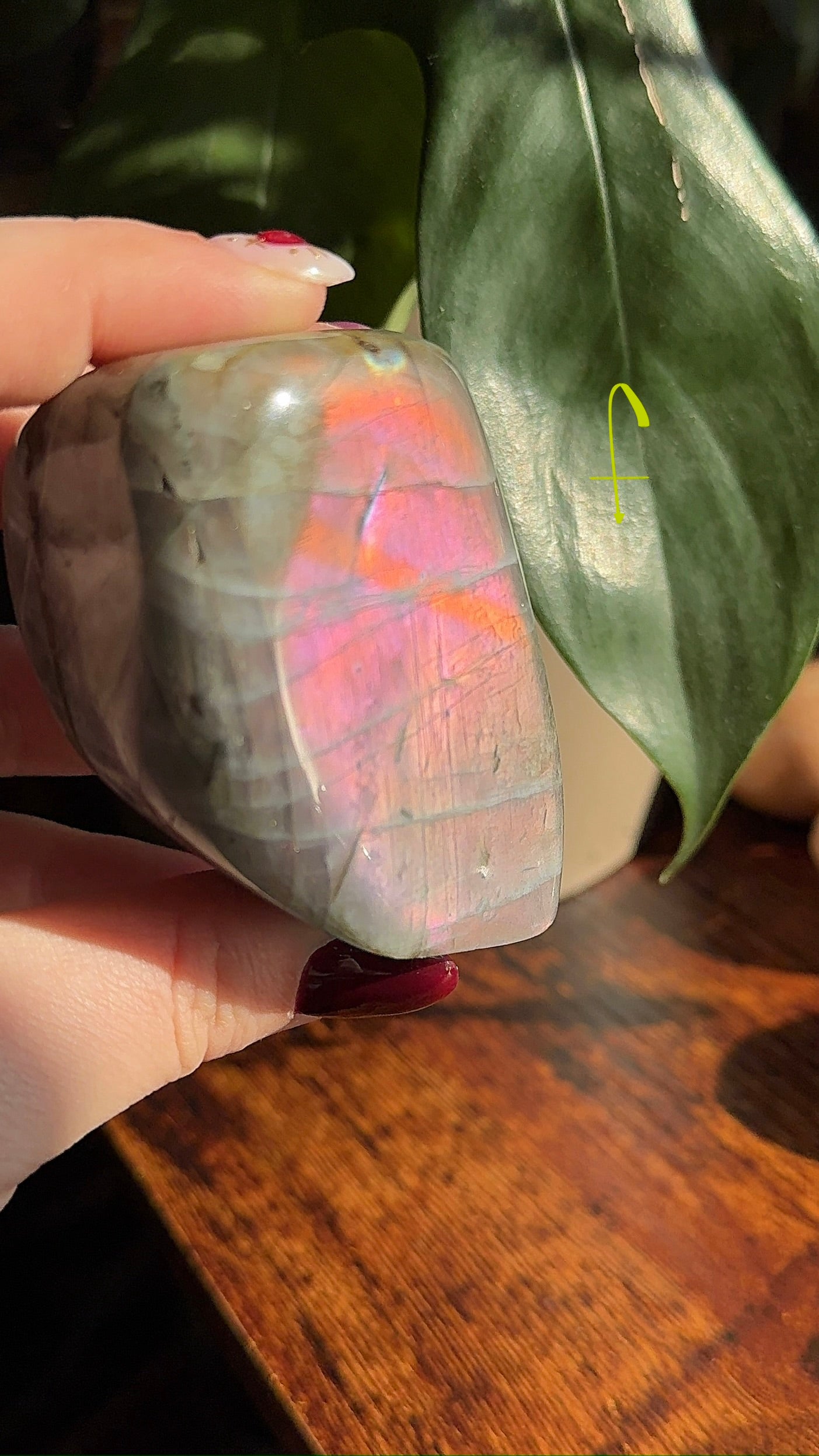 Sunset Labradorite Freeform (chose your own)