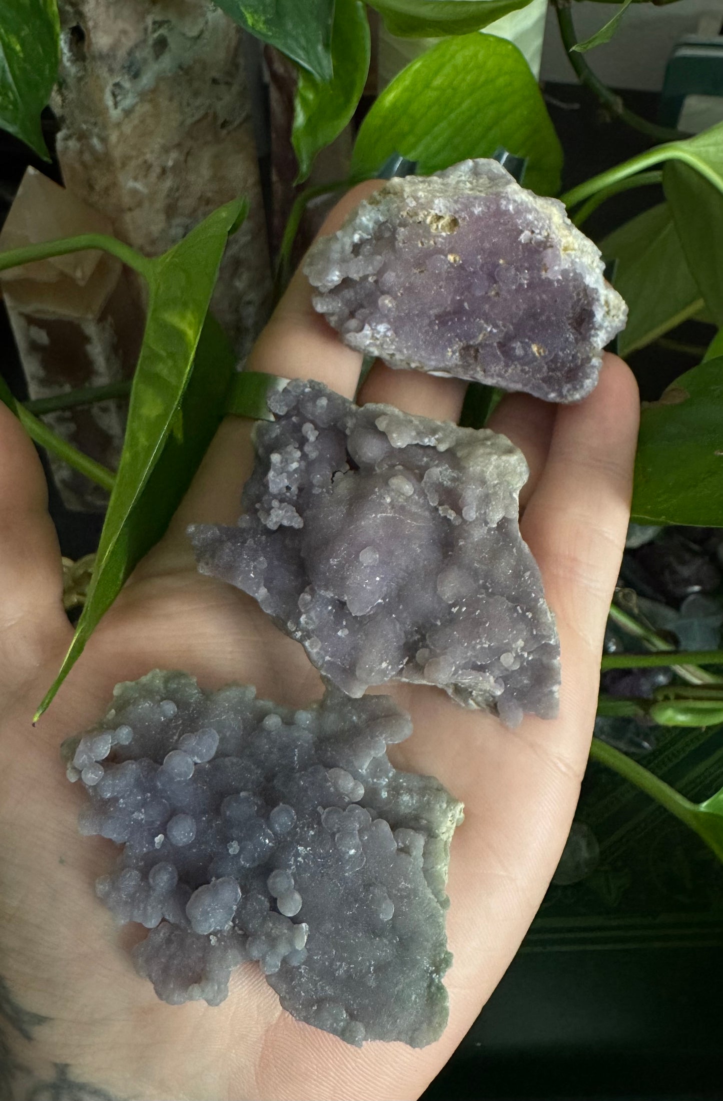 grape agate specimen (randomly selected)