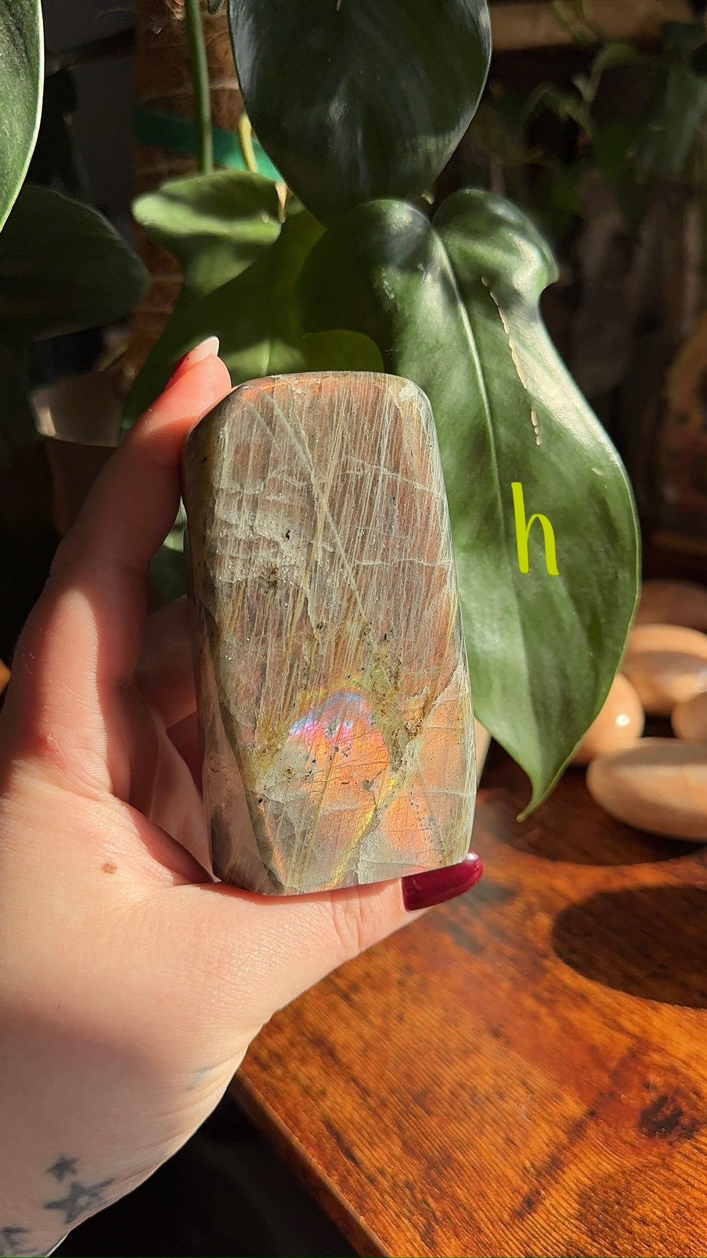 Sunset Labradorite Freeform (chose your own)