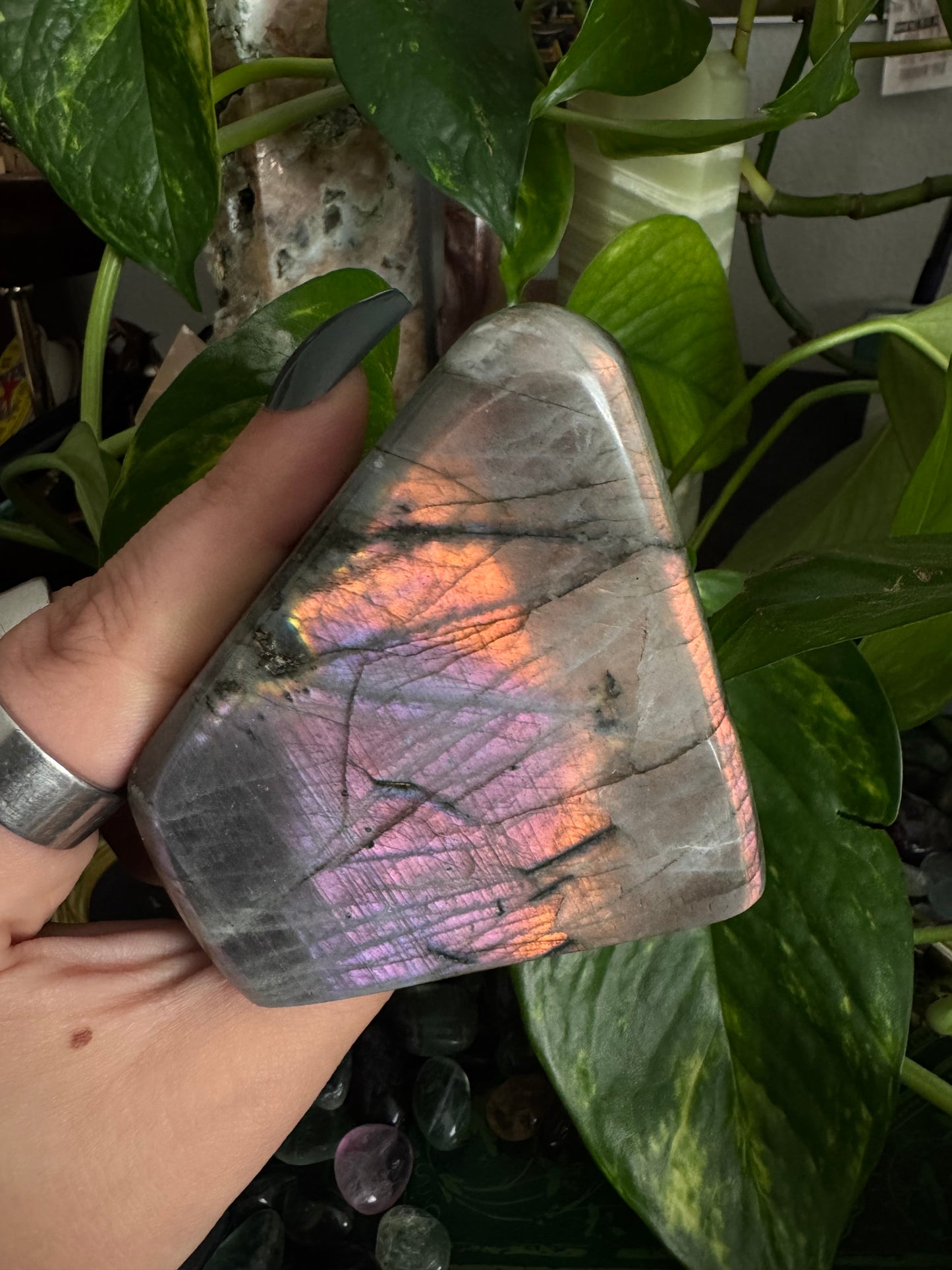 sunset labradorite freeform (choose your own)