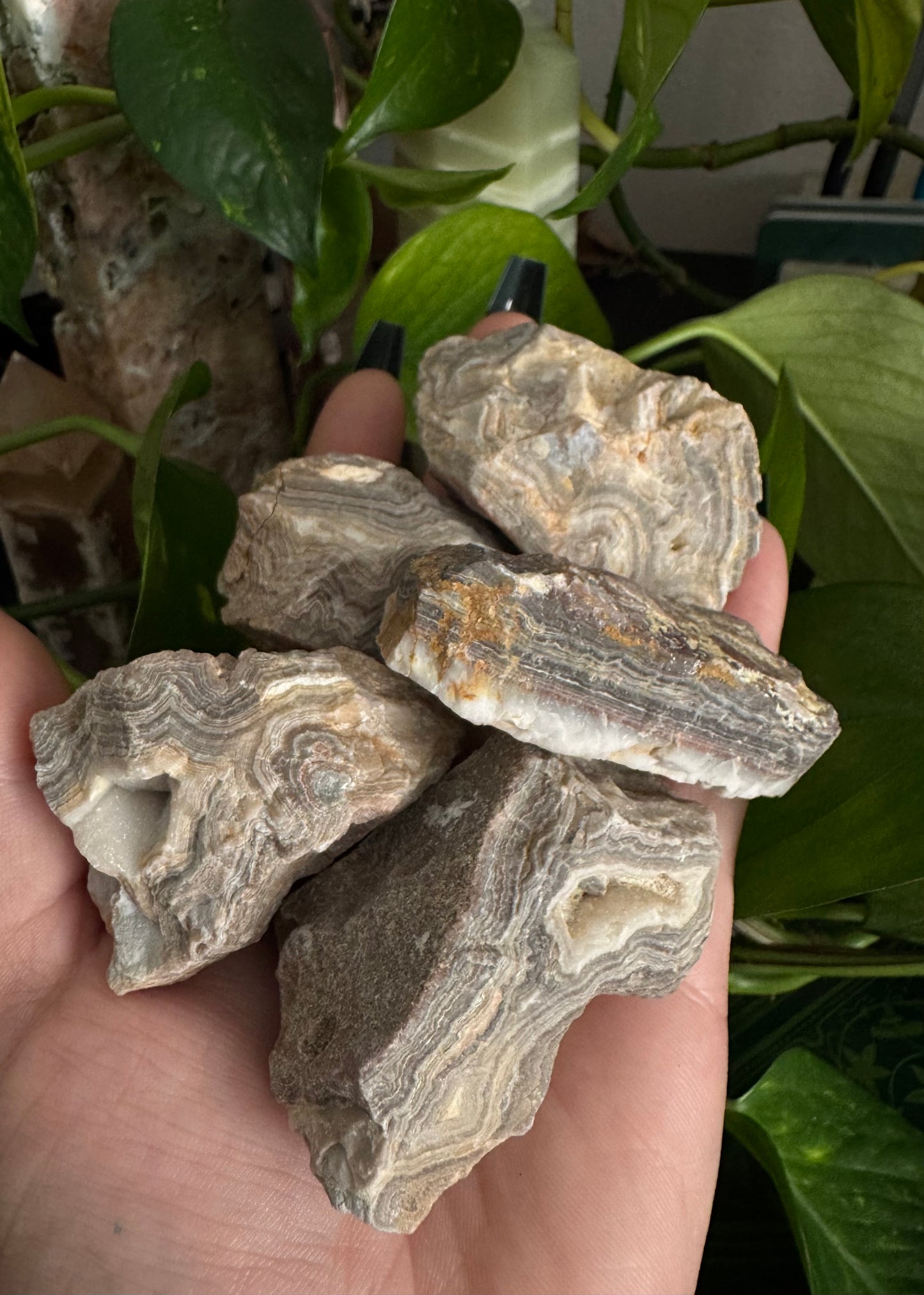 raw crazy lace agate