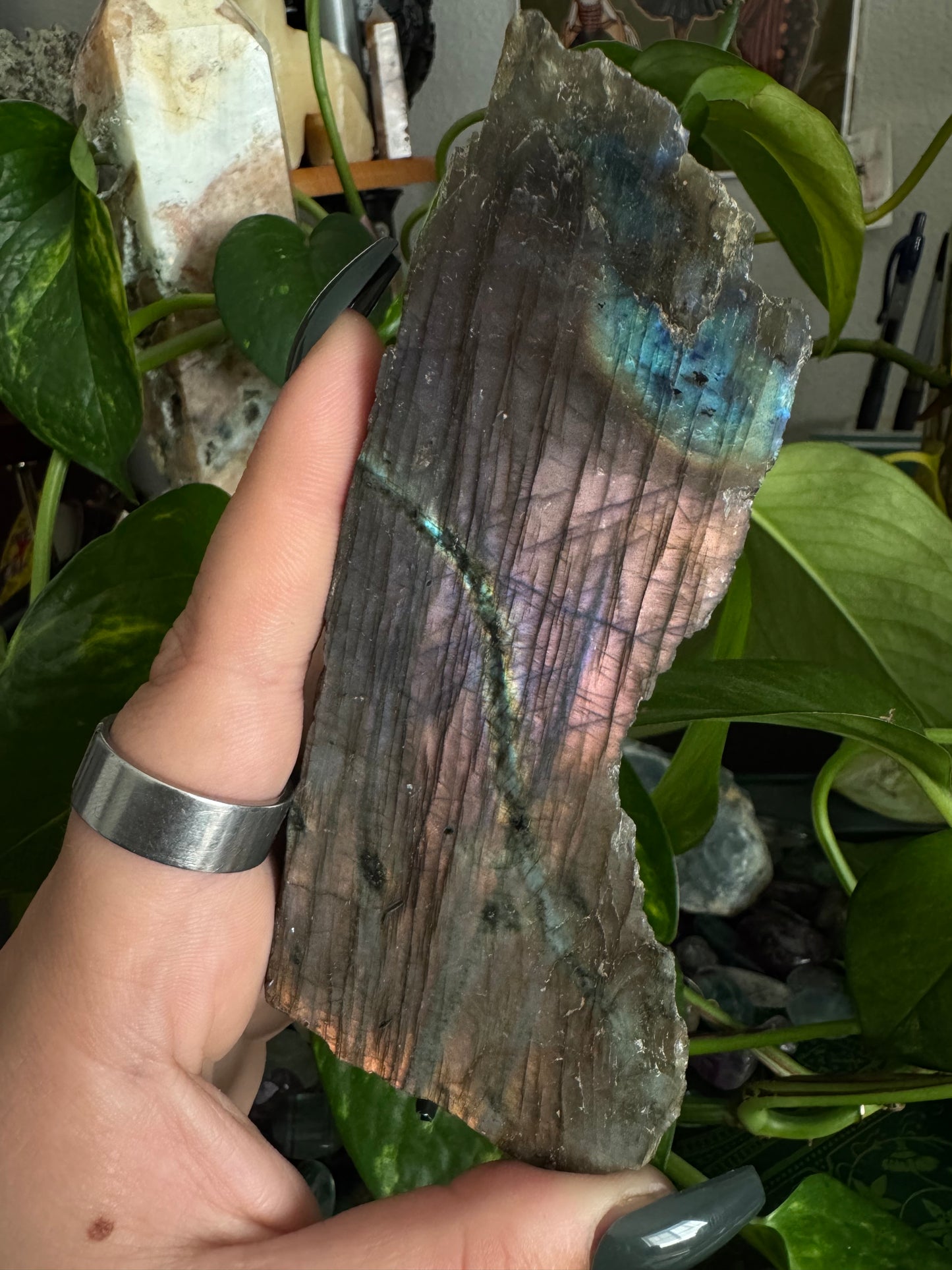 sunset labradorite half polished slab