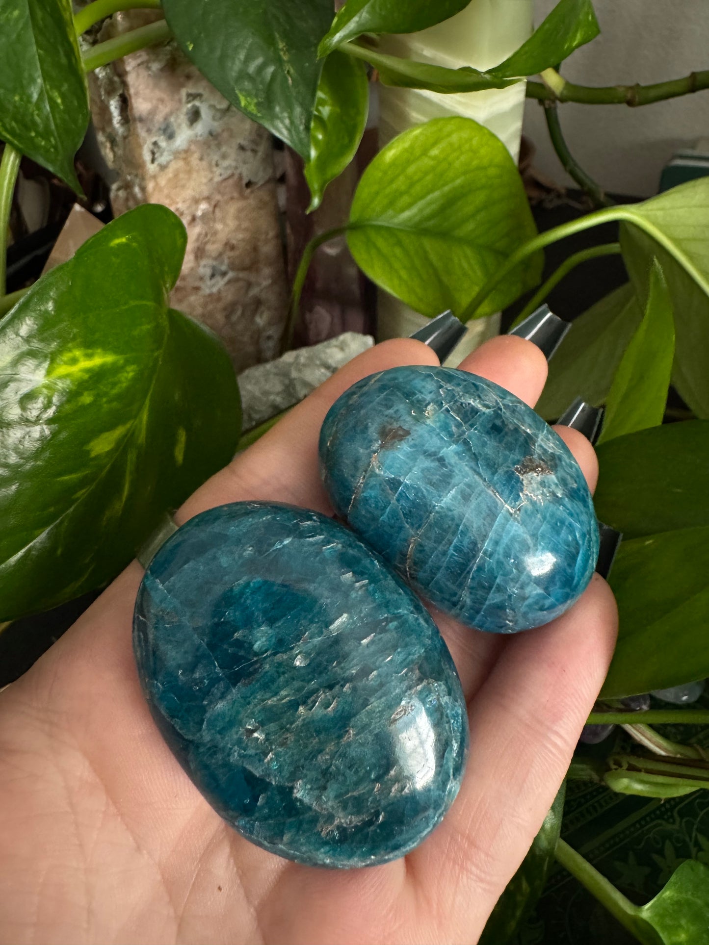 blue apatite palmstone (choose your own)