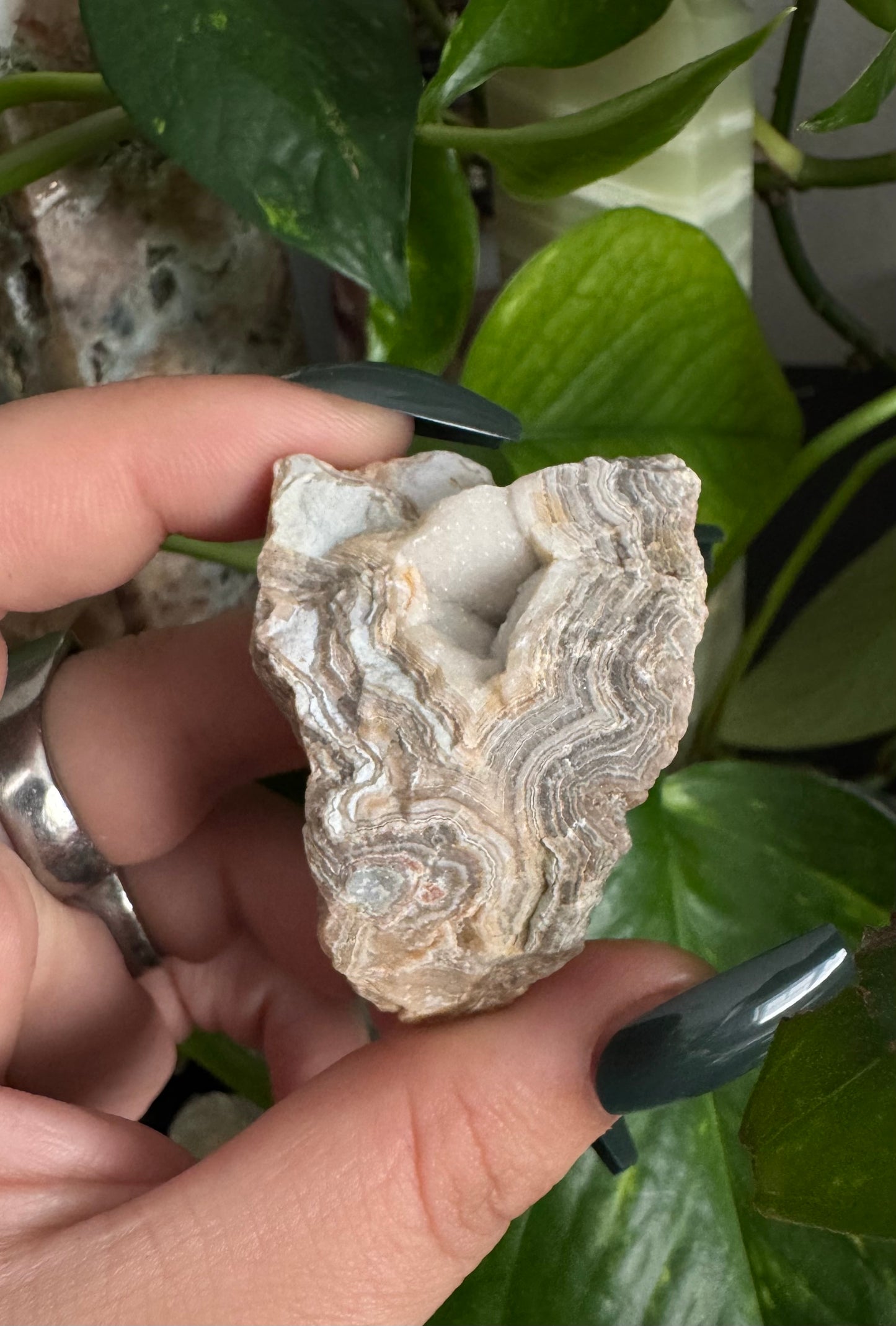 raw crazy lace agate