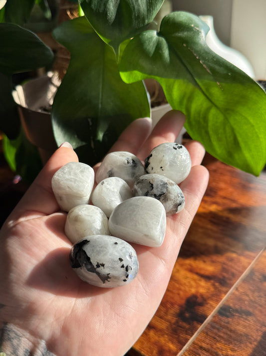 Rainbow Moonstone Tumble