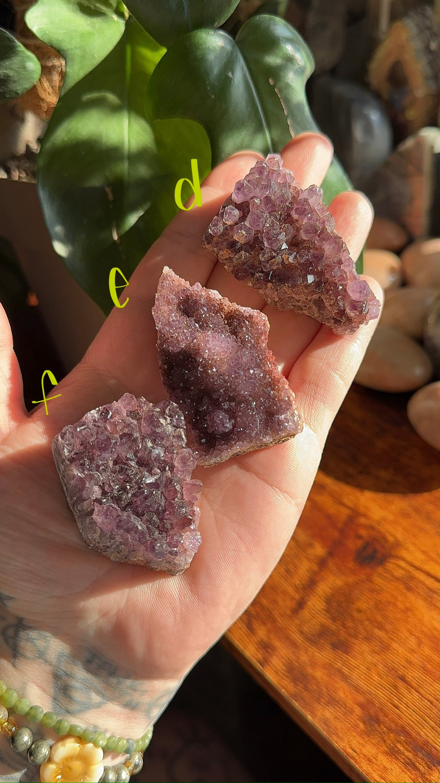 Uruguay Amethyst Cluster (choose your own)