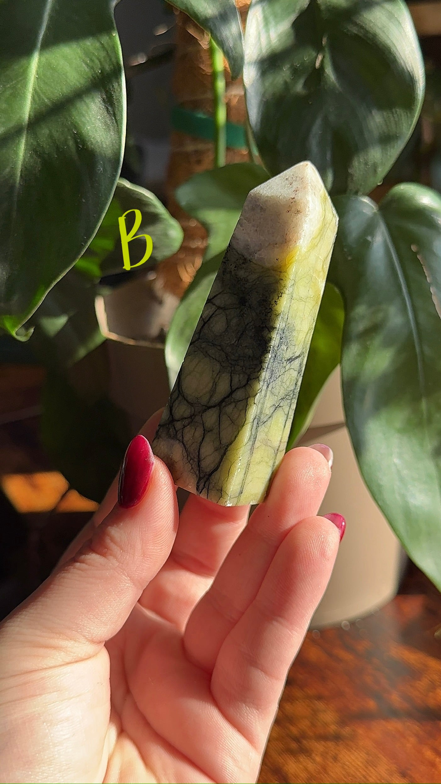 Serpentine Tower (choose your own)