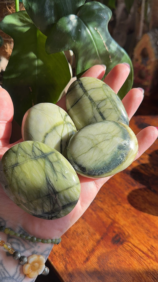 Serpentine Palmstone (intuitively chosen)