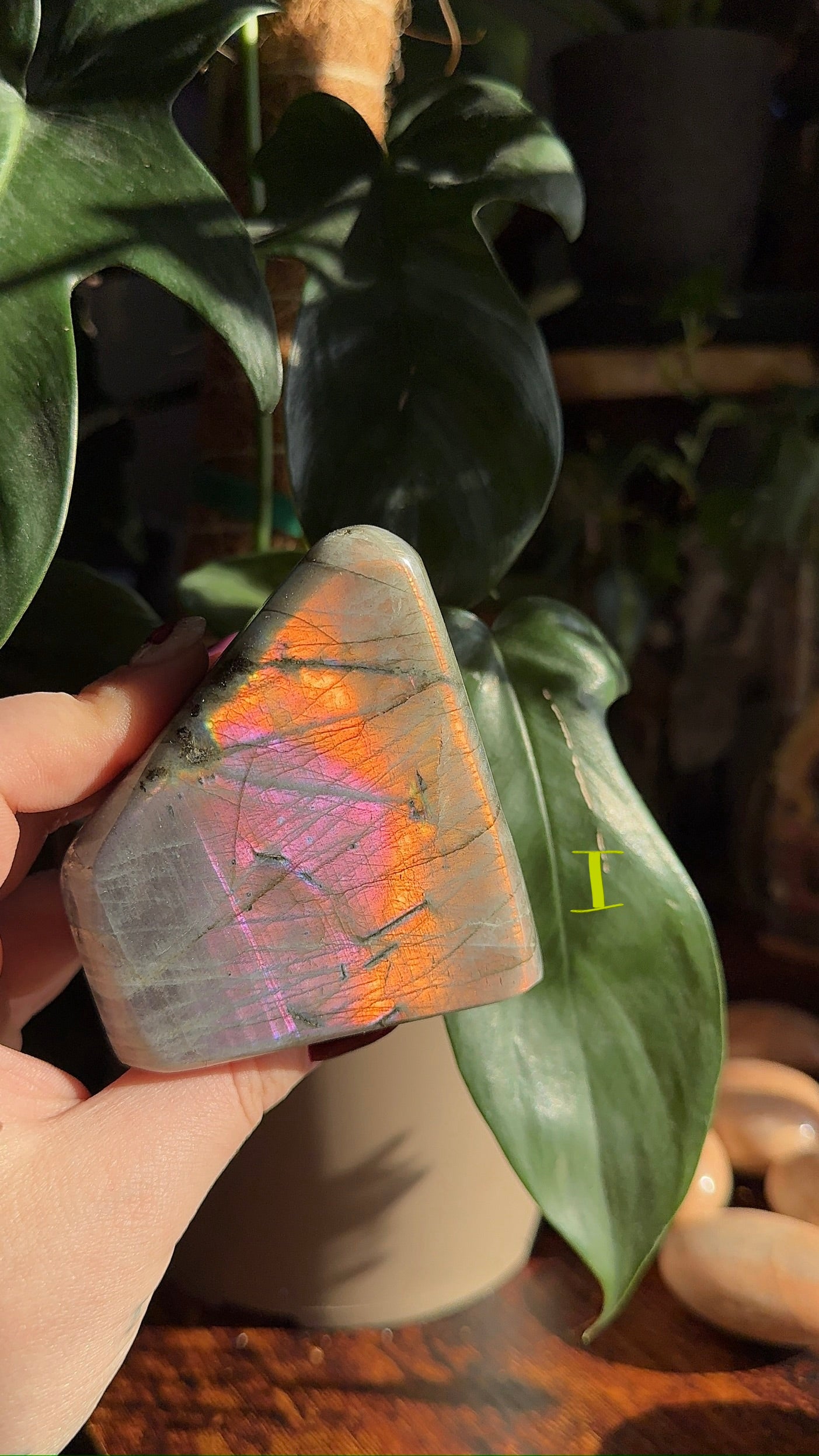 Sunset Labradorite Freeform (chose your own)