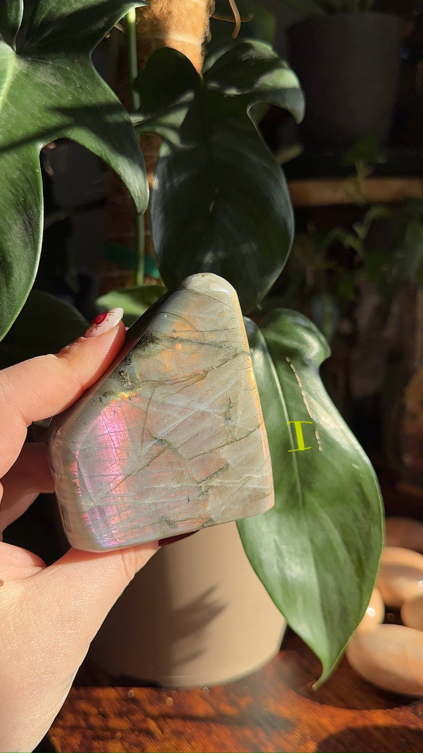 Sunset Labradorite Freeform (chose your own)