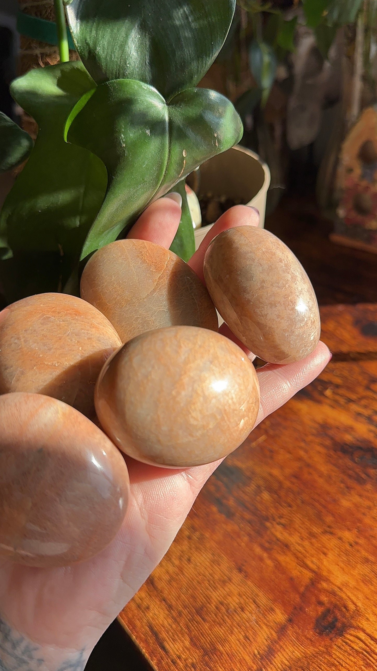 Peach Moonstone Palmstone (intuitively chosen)