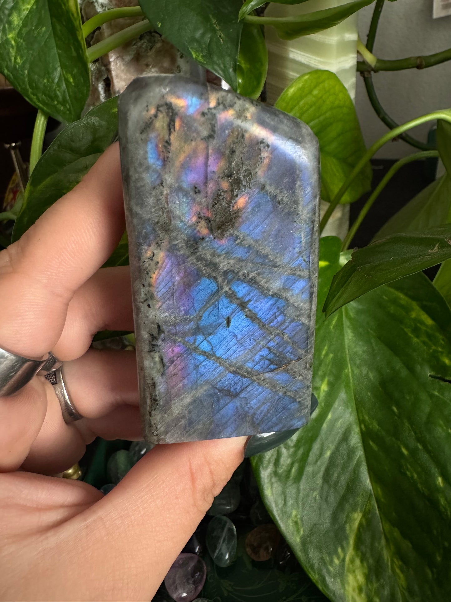 sunset labradorite freeform (choose your own)