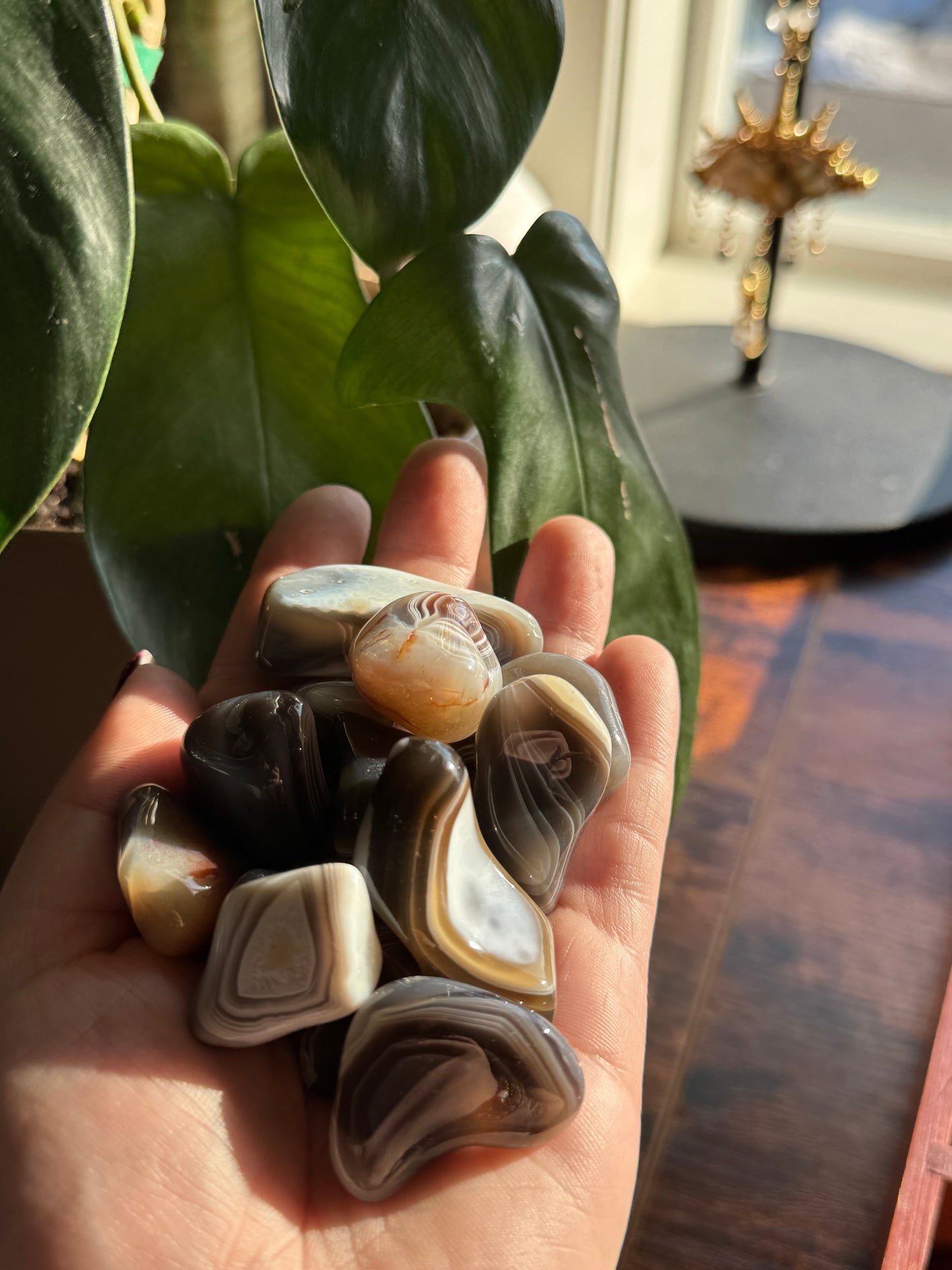 Botswana Agate Tumble