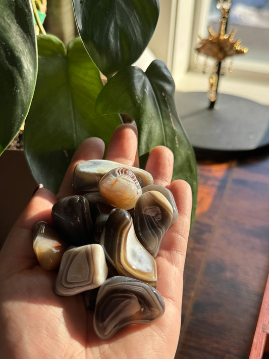 Botswana Agate Tumble
