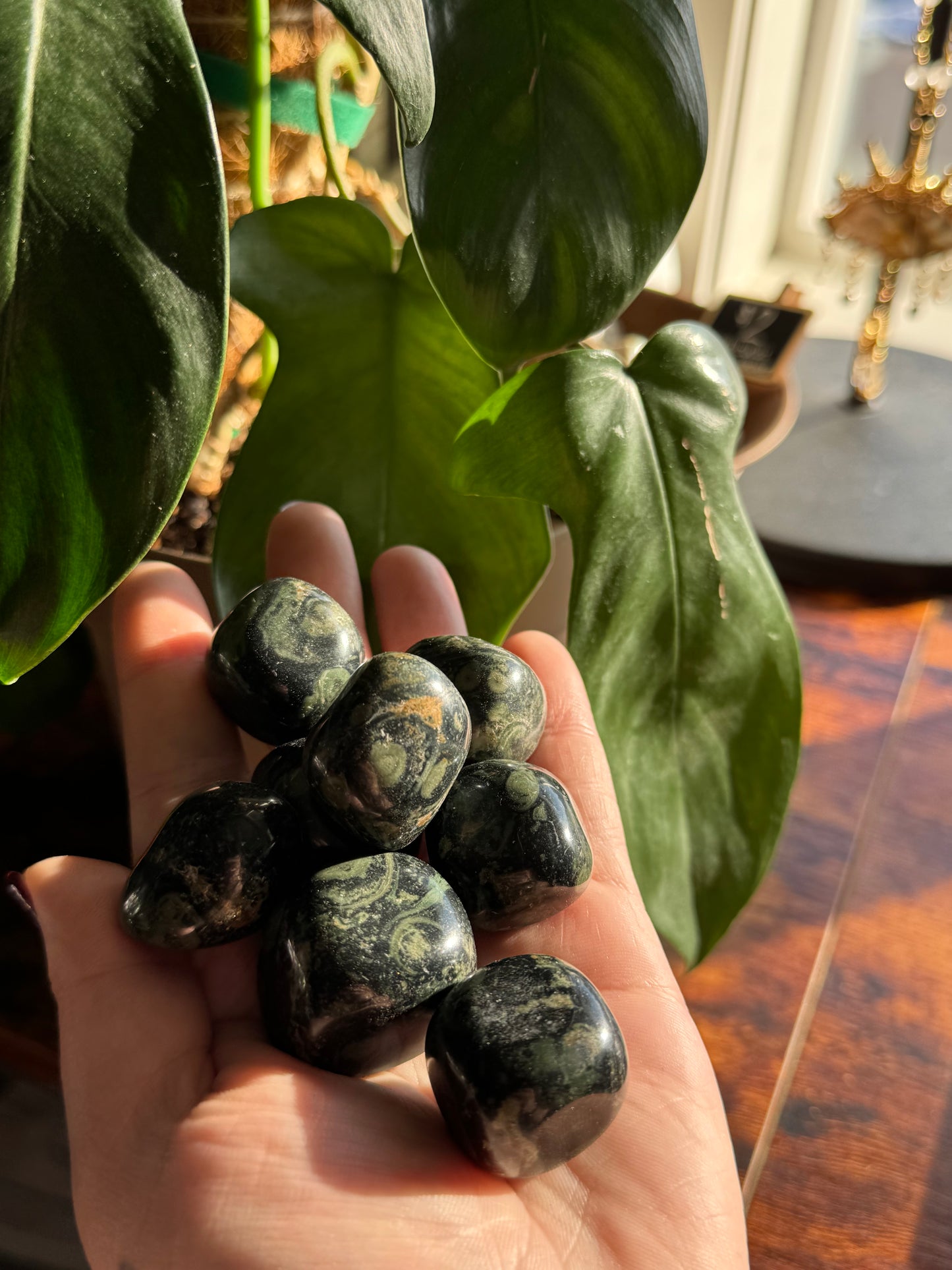 Kambaba Jasper Tumble