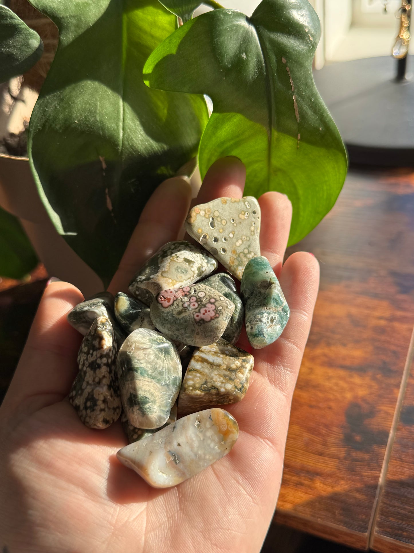8th Vein Ocean Jasper Tumble