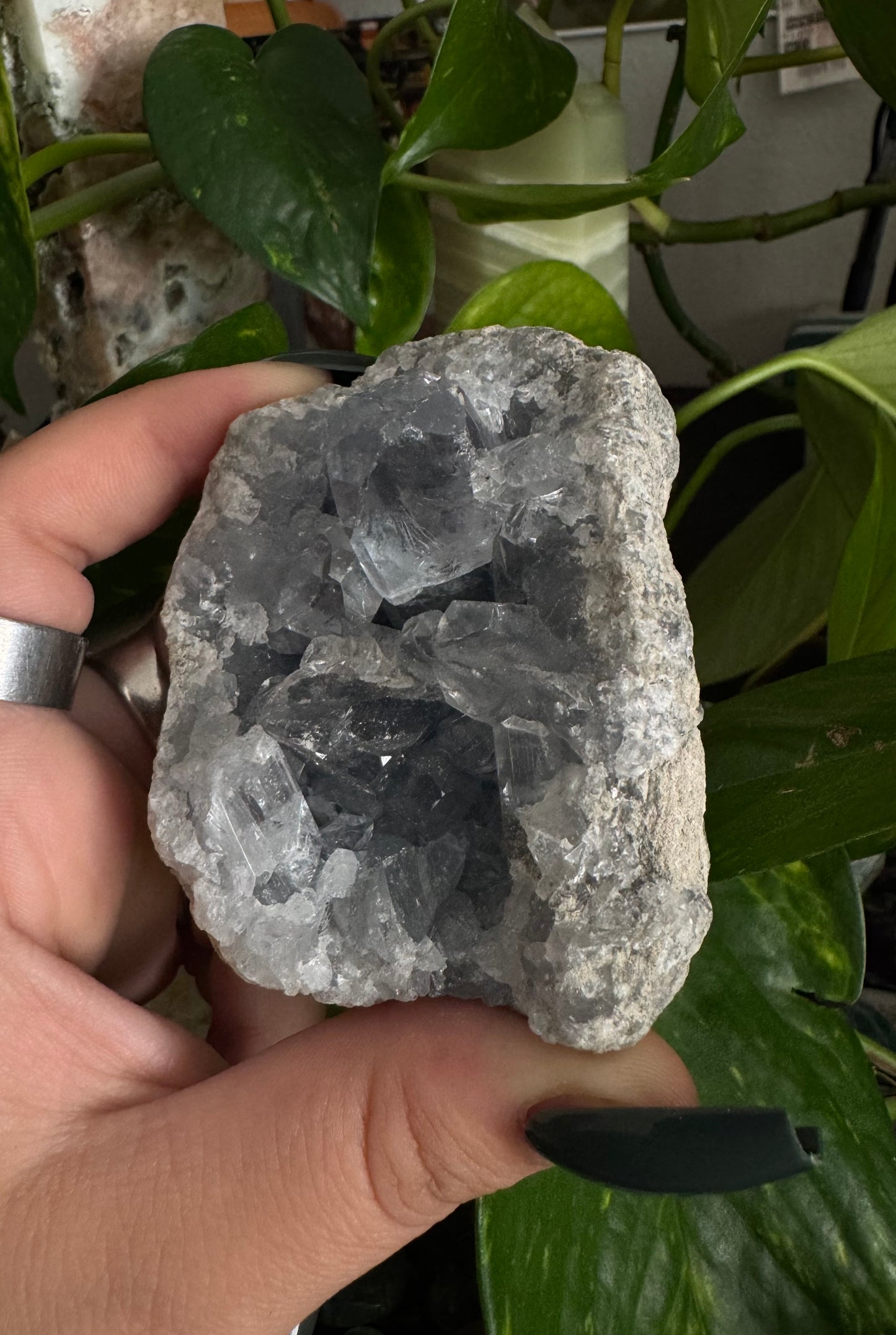 celestite cluster