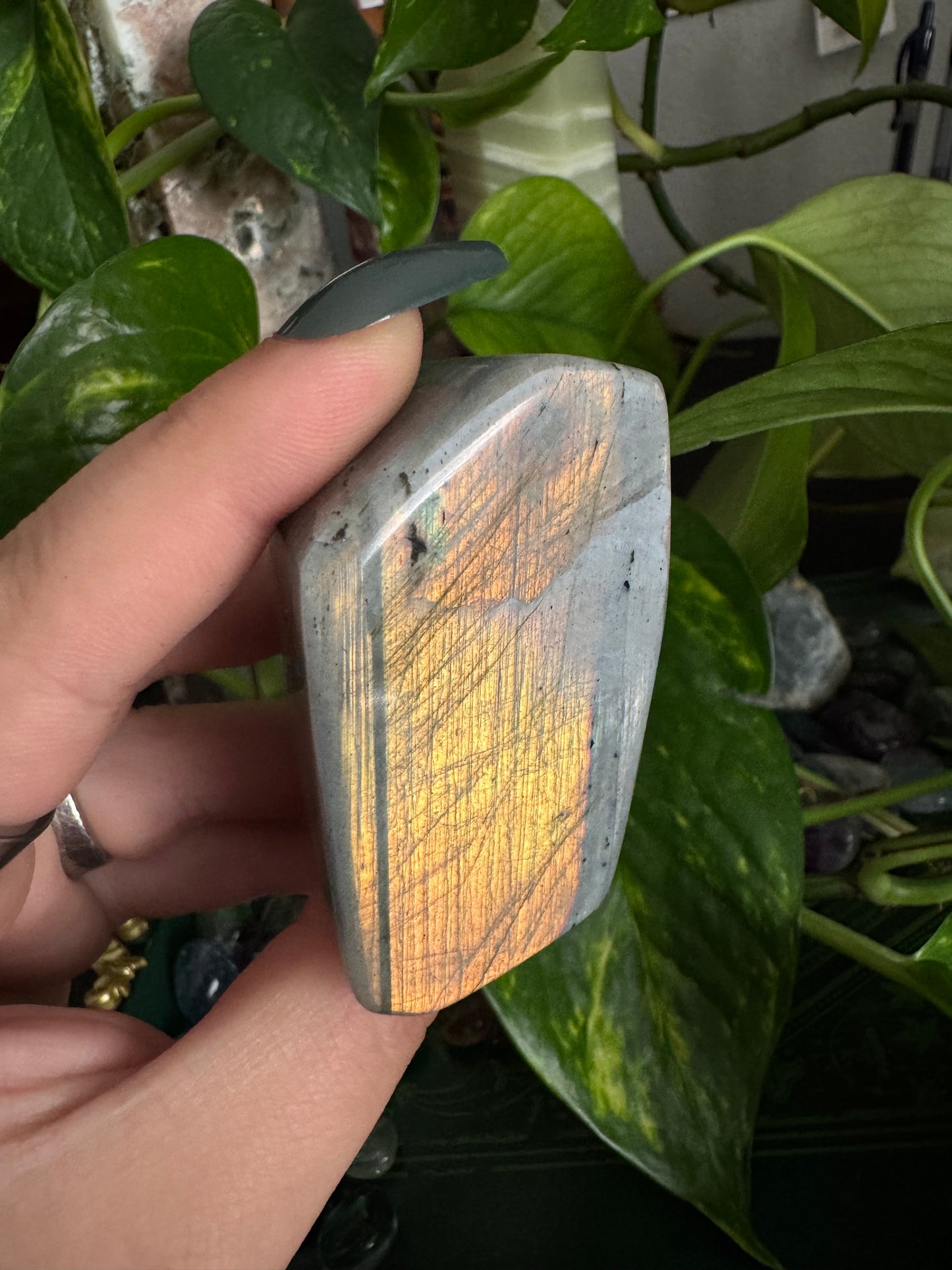 sunset labradorite freeform (choose your own)