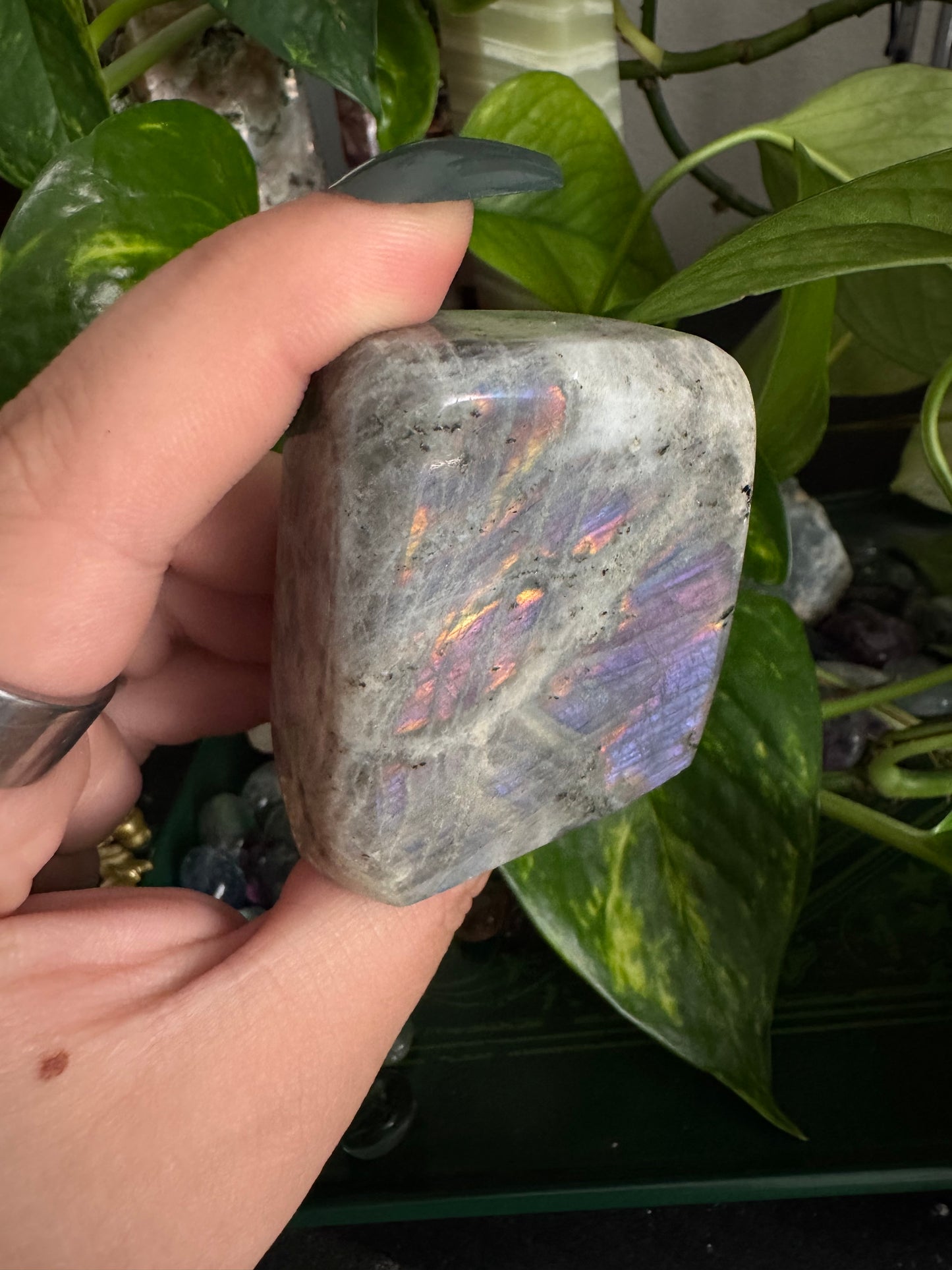 sunset labradorite freeform (choose your own)