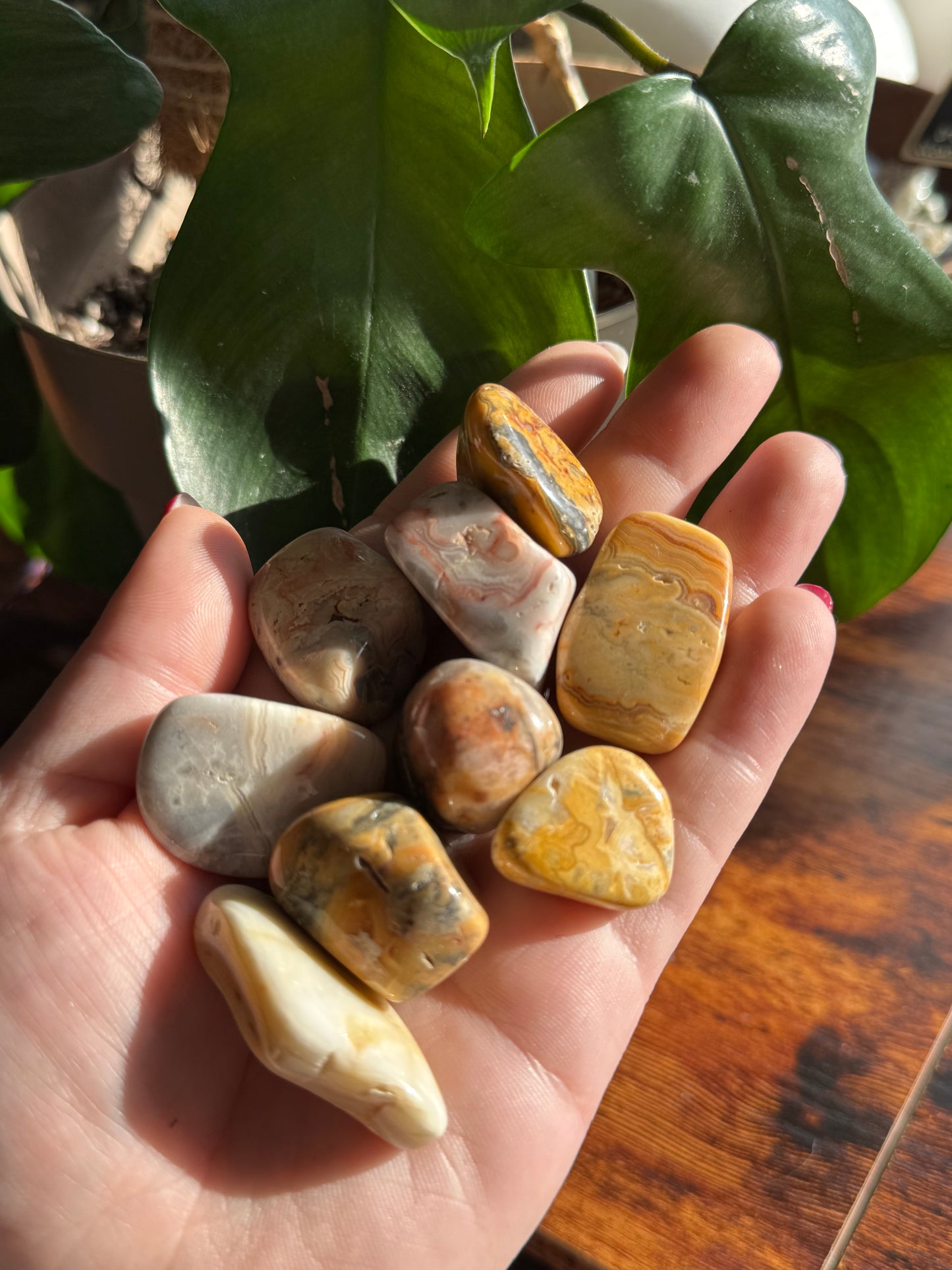 Crazy Lace Agate Tumble
