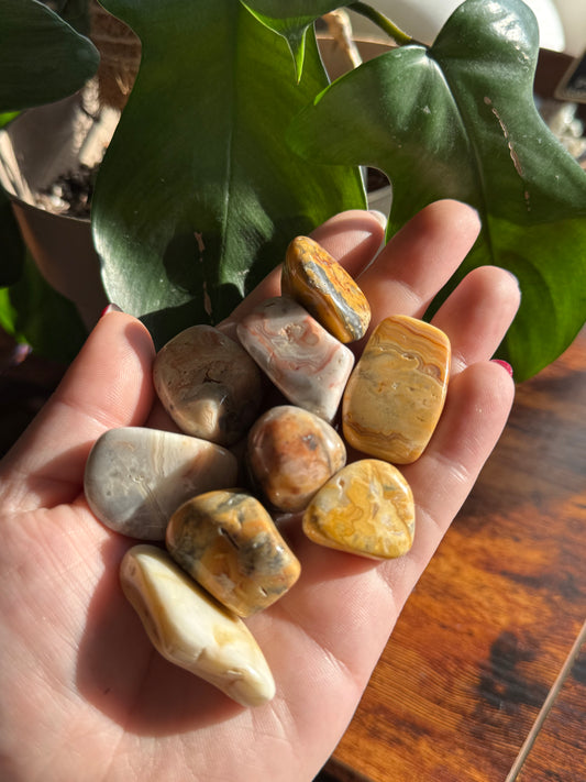 Crazy Lace Agate Tumble