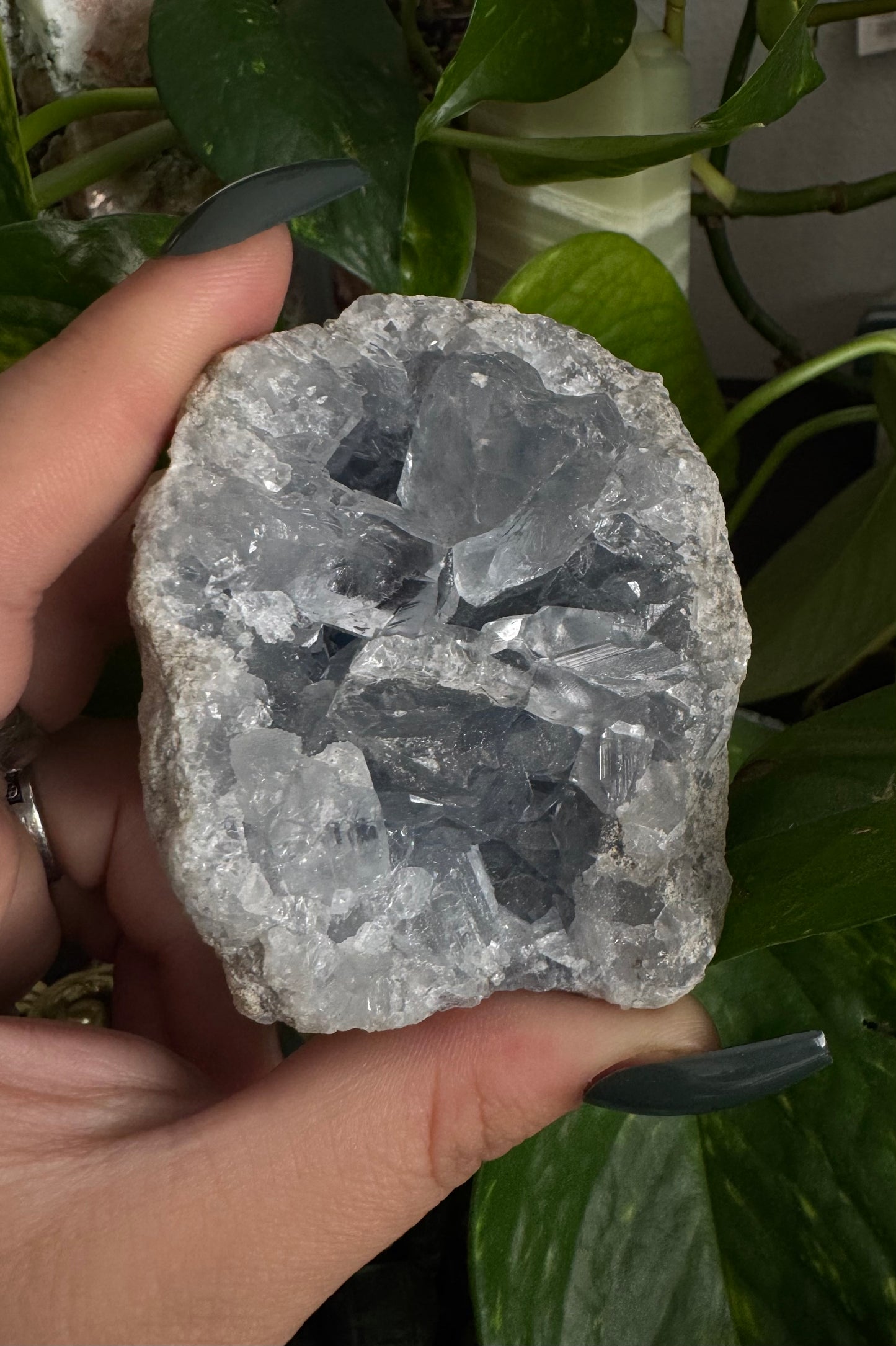 celestite cluster