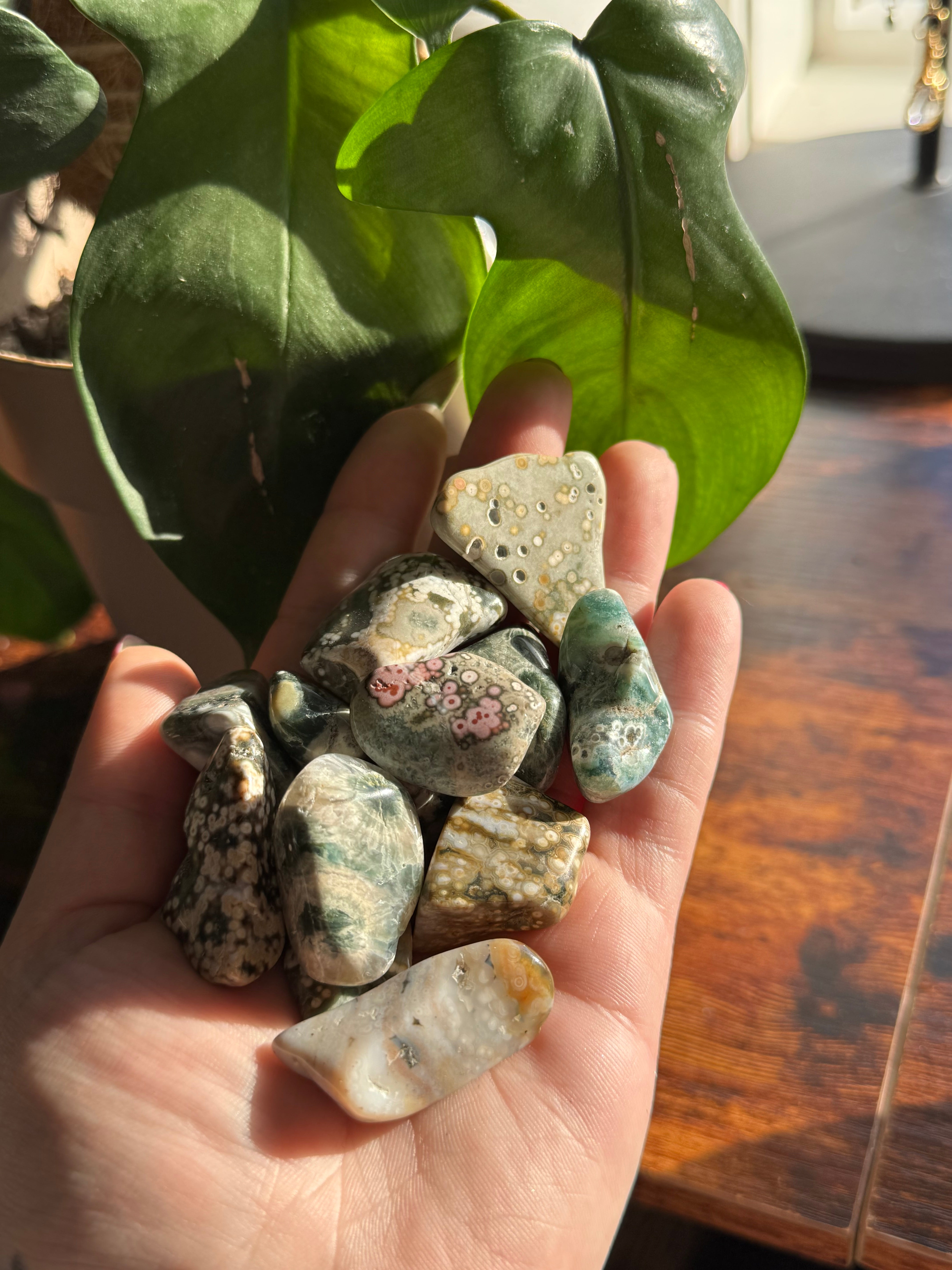 8th Vein Ocean Jasper Tumble – hme arts