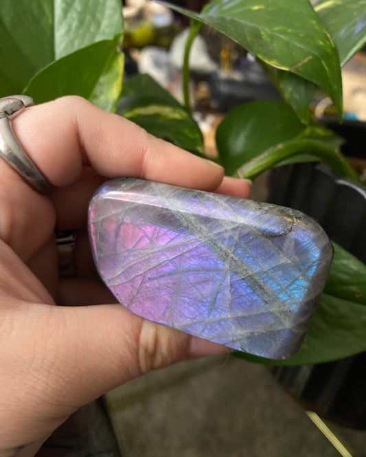 labradorite freeforms (choose your own)